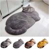 Ginger Cat Bathroom Carpet 40*60cm Bedroom Door Small Rug  Living Room Tea Table Bedside
