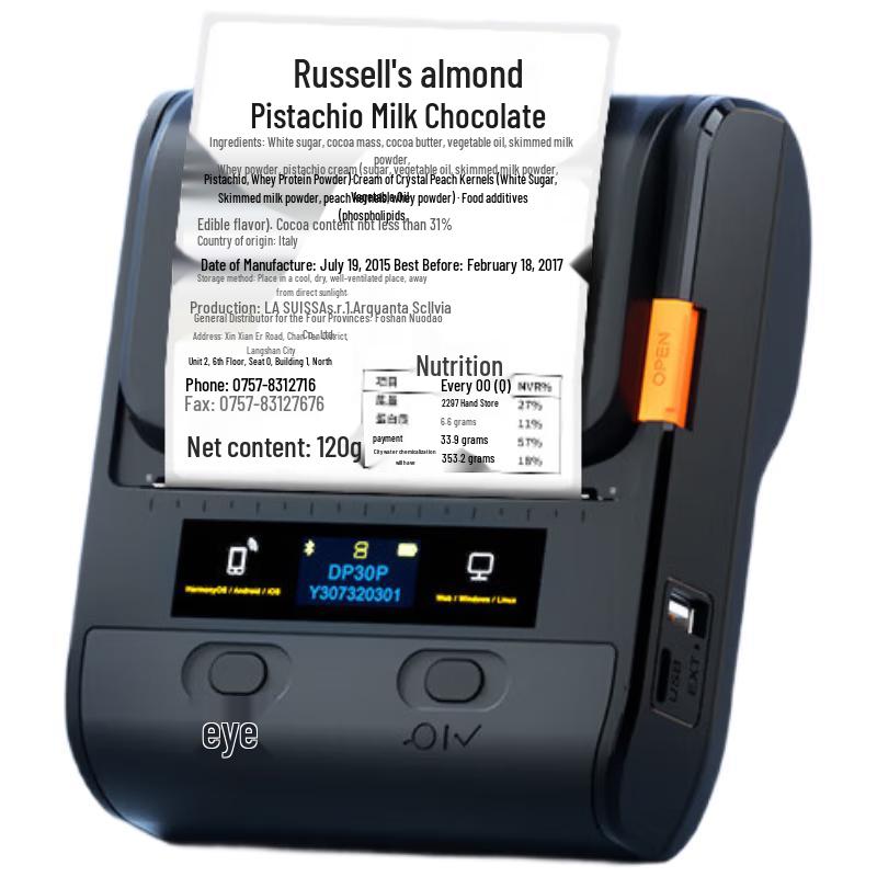 

Detong Smart Thermal Handheld Label Printer DP30P