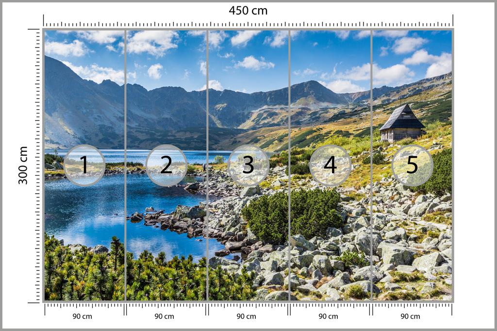 Photomural Mountain Lake In The Valley Structural Vinyl 450x300