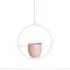 2026 New 10 Type Metal Hanging Flower Pot Nordic Chain Hanging Planter Basket Flower Vase for Home Garden Balcony Decoration