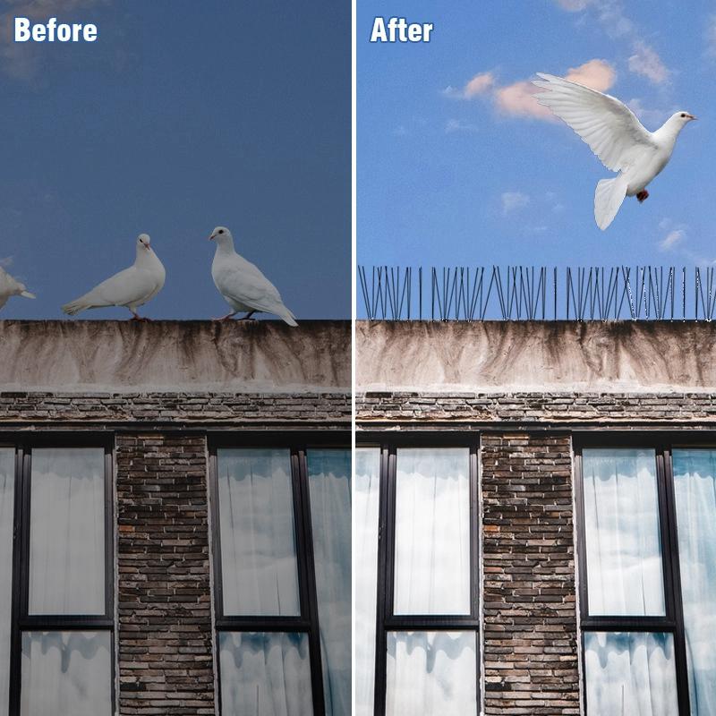 1-10Pcs Pigeon Spikes Stainless Steel Bird Spike Bird Deterrent Wire Spikes Keep Birds Away Proof Nails for Fence Roof Blacony