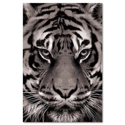 [A3410] – Graue „Tiger“-Fotoleinwand – 90 x 60 cm