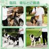 Adjustable Dog Care Harness, Walking Assist Harness for Dogs, Easy Toileting, Portable Dog Harness for Car and Stair Climbing, Leg Injuries, Surgery,