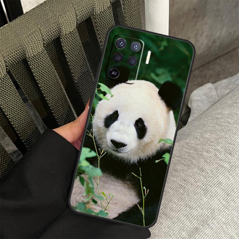 Panda Cute Kawaii Animal Case For Oppo A80 A60 A40 A94 A54 A98 A78 A18 A38 A58 A16 A76 A96 A17 A77 A74 A57S A15 Cover