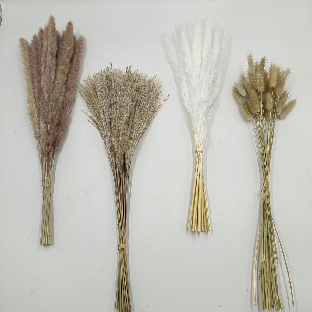 Whisk Rabbit Tail Grass Dried Flower Bouquet - Natural Pampas Grass & Small Reed