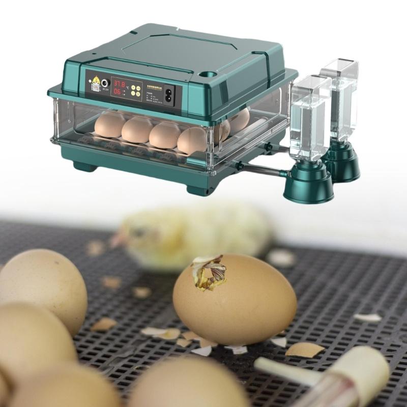 Eggs Incubator Auto Turners Temperature Control Eggs Durability Incubator for Chicken Quail and Duck Breeding