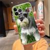 Phone Case For Iphone 17 Pro Max Air 16 15 14 13 Pro Max 15 16 Pro 15Plus Schnauzer Puppy Dog Art