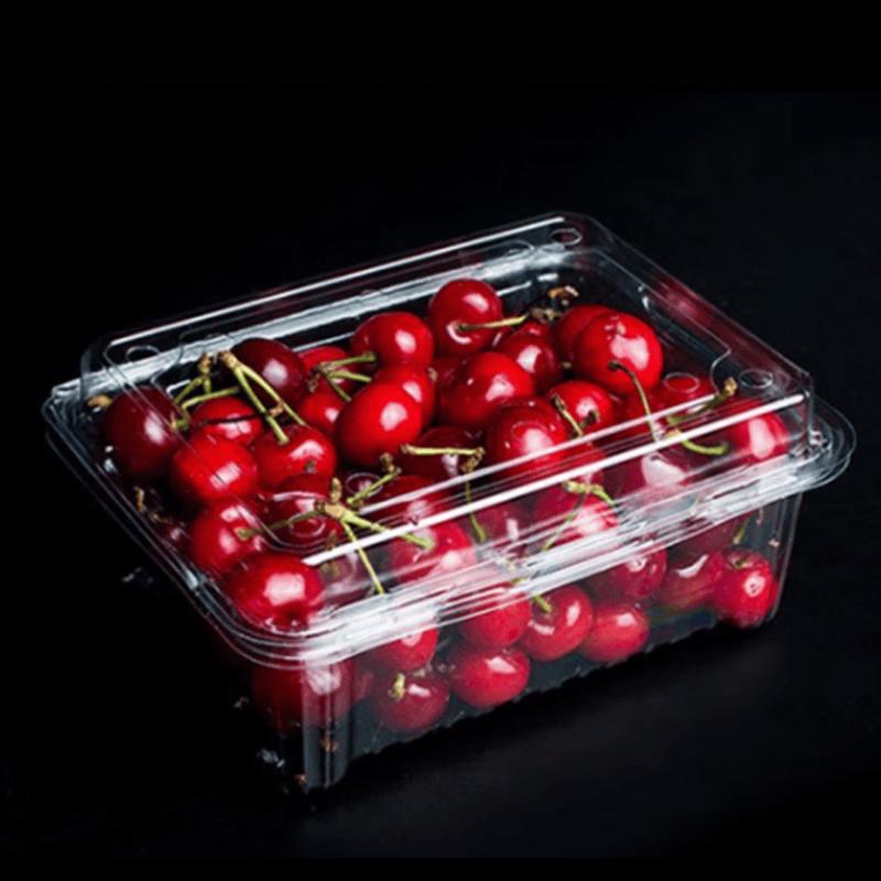 Disposable Fruit  Vegetable Packaging Boxes
