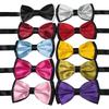 Double Layer Two-Color Bow Tie for Men and Women - Formal Professional Style