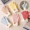 Thickened Winter Gloves Windproof Knitted Gloves Fashion Warm Gloves  Women