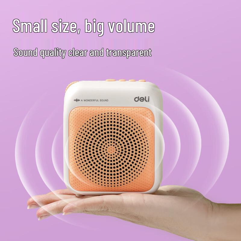 Deli LT915 Wired Portable Voice Amplifier Speaker CN plug (adapter included)