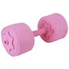 Waterfilled Dumbbell Woman Fitness Equipment Pushup Training Arm Thin Sport 6KG Pink