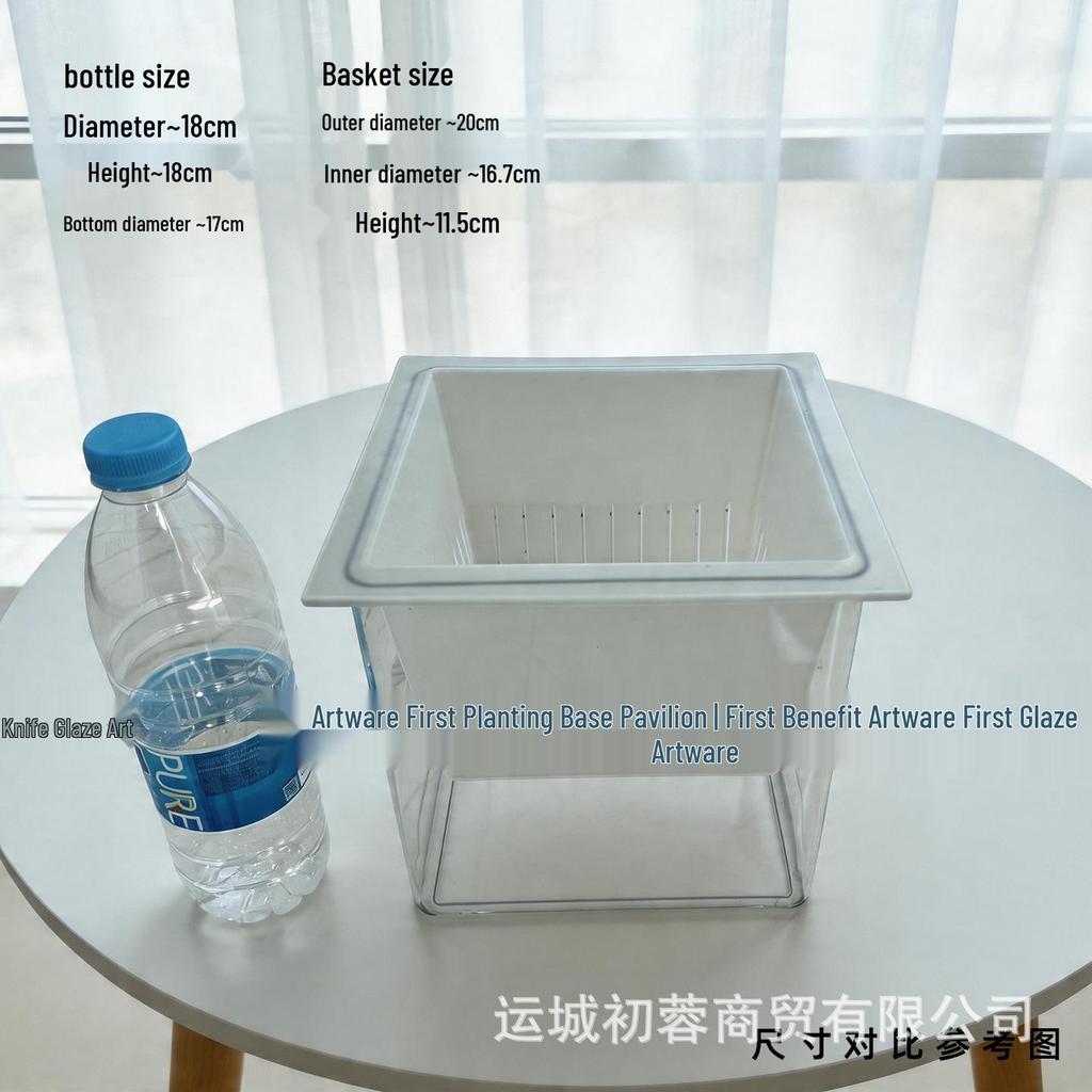 Large Transparent Vase for Hydroponic Plants: Coin Plant, Orchids, Money Tree, Plastic Flower Pot