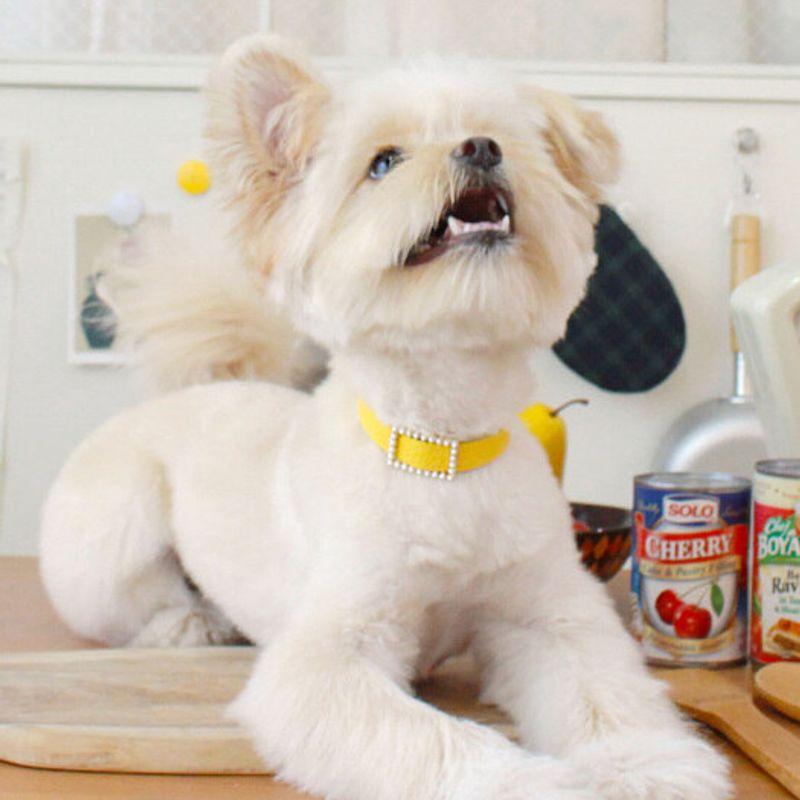 MAISON DE MIU Square Pearl Collar_Yellow