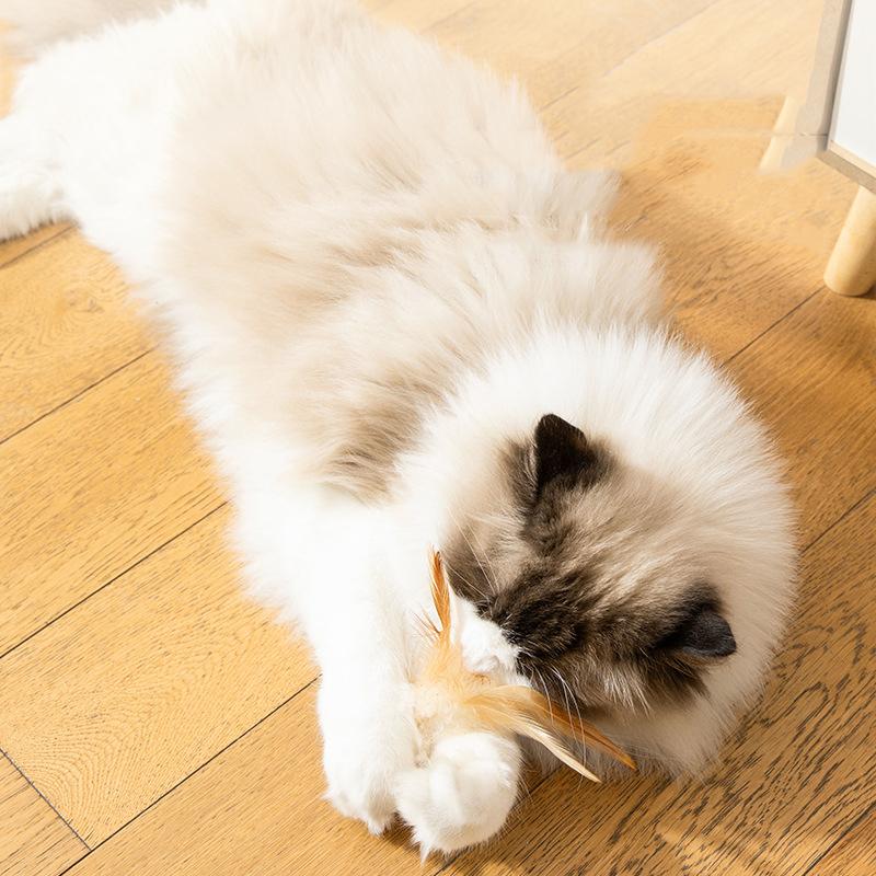 Cat Self-sex Elastic Toy Ball, Chicken Feather Basketball Ball Interactive Boredom Throw Cat Toy Toys Cat Fun Artifact Pet Toys