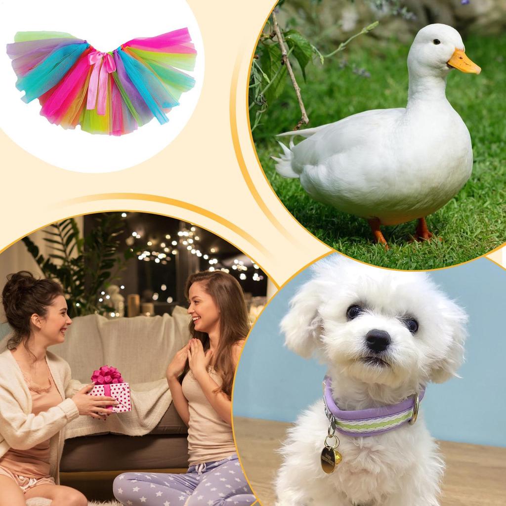 Chicken Clothing For Hens Funny Rainbow Hen Dress Pet Dress Up Props For Home Ducks Geese Halloween Birthday Cosplay Festival