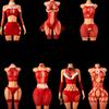 Women's Christmas Lingerie Set with Furry Accessories Sexy Santa Outfit Set Cosplay Pajamas Playful Doll Outfit Lace Mesh Pl
