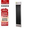 Stainless Steel WIFI Wall-Mounted Radiant Air Curtain Heater