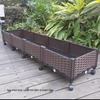 Extra Large Yellow-Edged Rooftop & Balcony Vegetable Planter Box