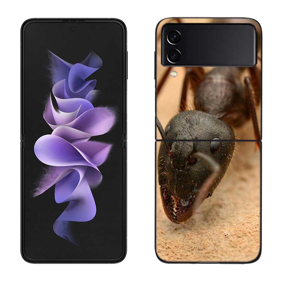 Red Fire Ants, Worker Ants Phone Case For Samsung Z Flip 7 6 5G Galaxy Z Flip 5 4 3 Black Hard Cell Cover Luxury PC Shell Coque