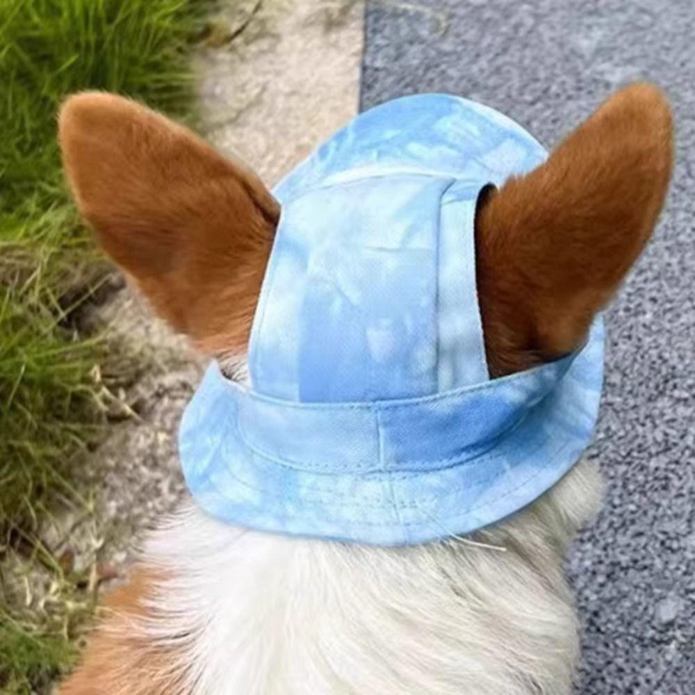 With Ear Holes Cat Sun Hat Cotton Dog Fisherman Hat Summer Sunhat Pet Caps  Travel