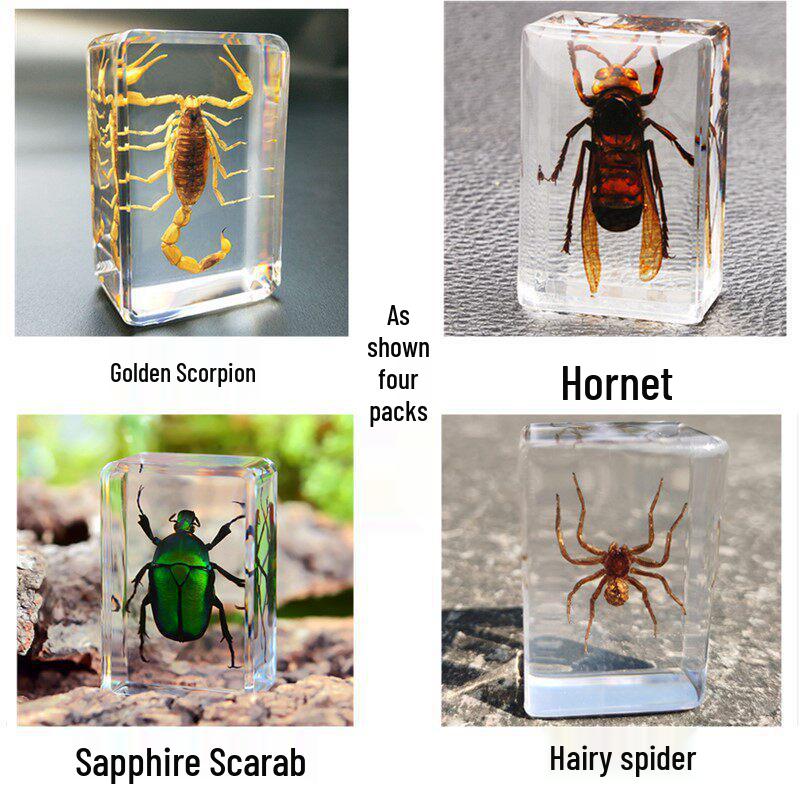 Okazy Owadów: Prawdziwy Pająk, Skorpion, Osa Błotna w Przezroczystej Żywicy do Nauczania i Dekoracji