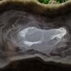 New Highly Simulated Aquarium Fish Tank Nature 3D Printing Landscape Rock Cave Reptile Shelter Fish Shrimp Reproduction Hideout