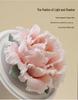 Porcelain Peony Eternal Flower Night Light Ornament with Aromatherapy