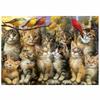 Puzzle Educa Gatitos Y Pájaros 500 Pieces