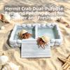Anti-Drowning Hermit Crab Bath Tub 2-in-1 Reptile Water Basin Small Pet Water Basin  Crawling Pet