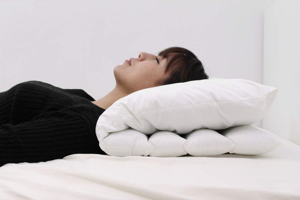 Danfill Pillow Me Pillow Me with Dedicated Pillow Cover JPA213-AKS18-3