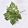 Deliciosa Plastic Monstera Epipremnum Aureum Rohdea Japonica Plant Artificial