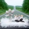 Accesorii pentru interiorul mașinii – Jucării auto şi decorațiuni