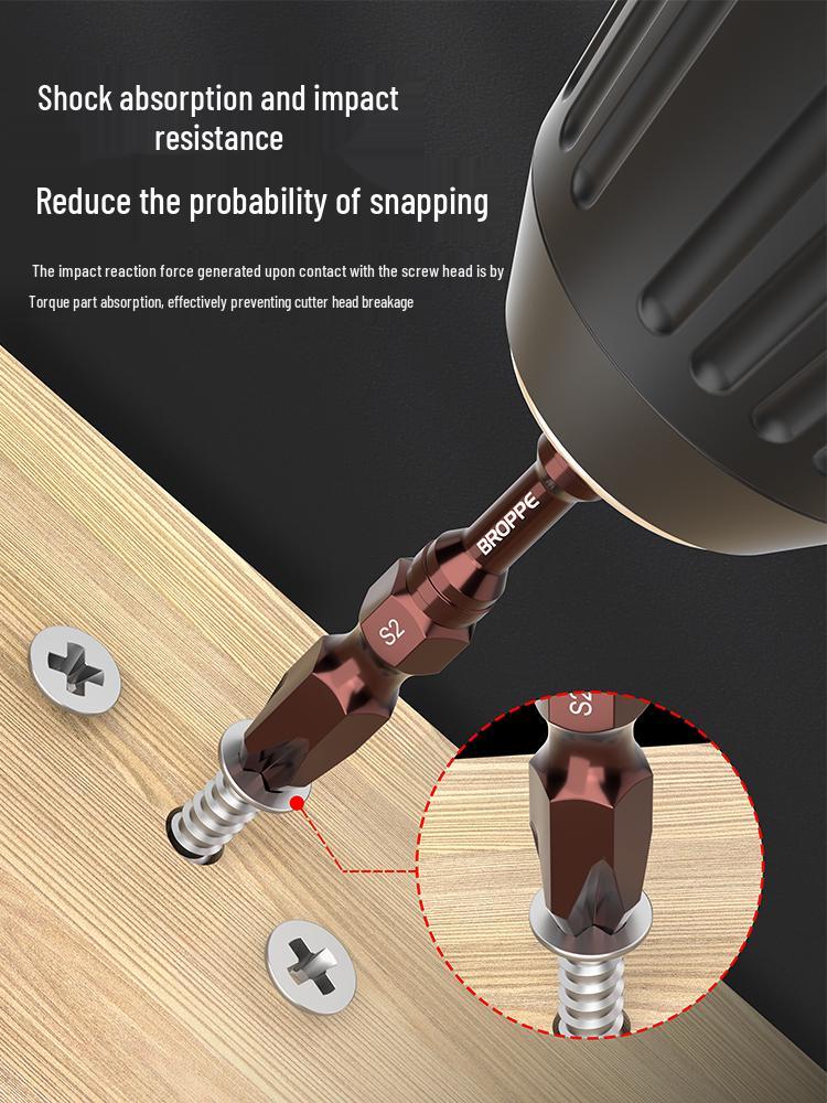 Double-Ended Strong Magnetic Screwdriver Bit Set with Phillips & Flathead Tips