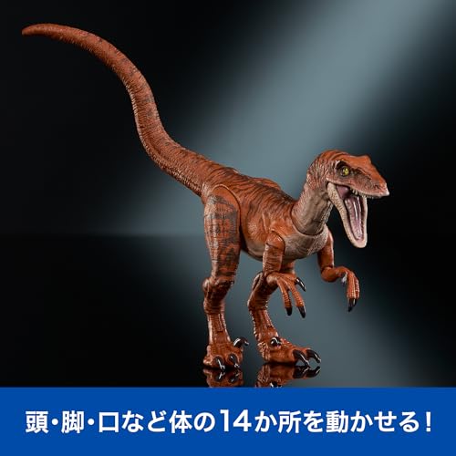 Mattel JURASSIC WORLD Hammond Collection Velociraptor Tiger Children's Figure Dinosaur Toy Moving Large Total Length: Approx. 19.8cm Ages 8 and Up