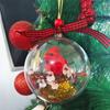 Nature's Birds Ball Ornament 3D Animal Clear Plastic Ball Decoration Christmas Tree Memorial Gift for Bird Lovers