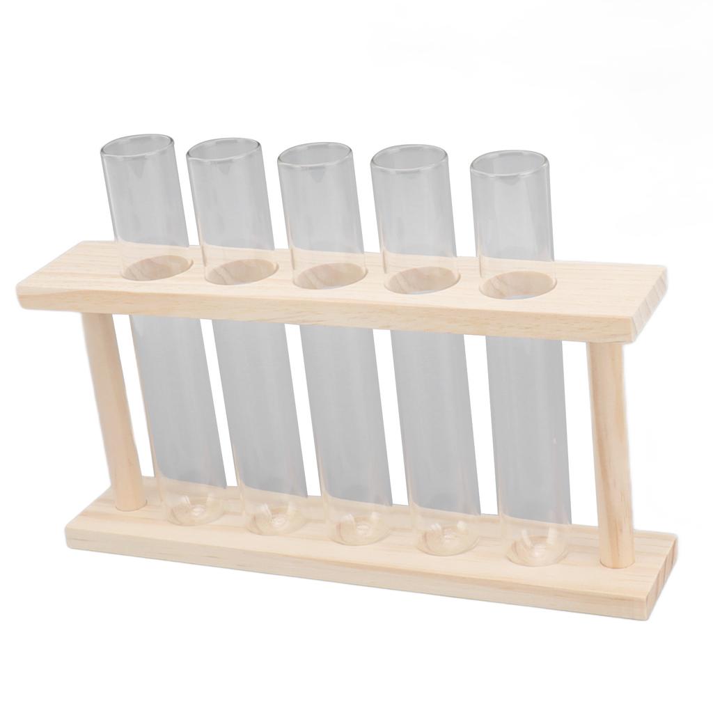 5 Test Tube Plant Terrarium Transparent Observe Growth State Plant Terrarium with Wooden Stand