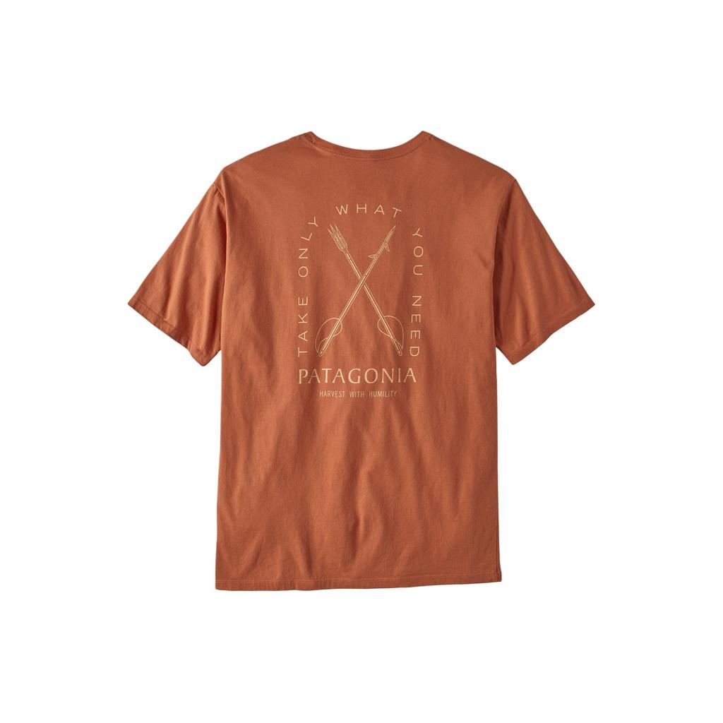 Patagonia Organic T Shirt Men's 37732
