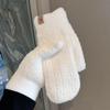 Velvet Thickened Warm Gloves Winter Men's Windproof and Cold-proof Woolen Knitted Double-layered Mittens for Students Outdoor Riding Trend