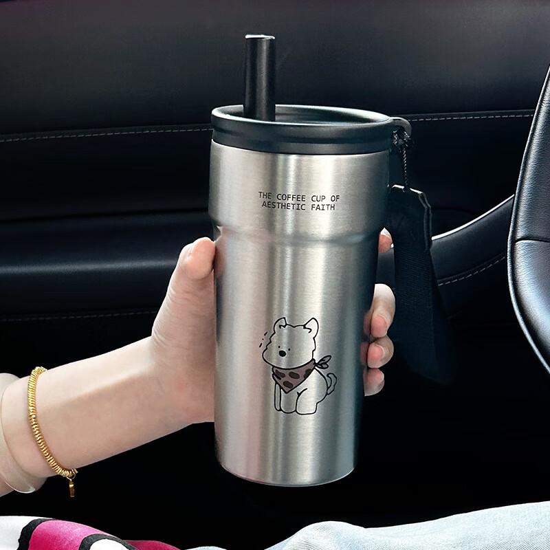 Shangqi Portable Insulated Straw Cup with Tea Infuser