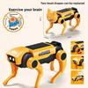 DIY assembly mechanical dog children's science and education experiment electric remote control walking robot educational toy