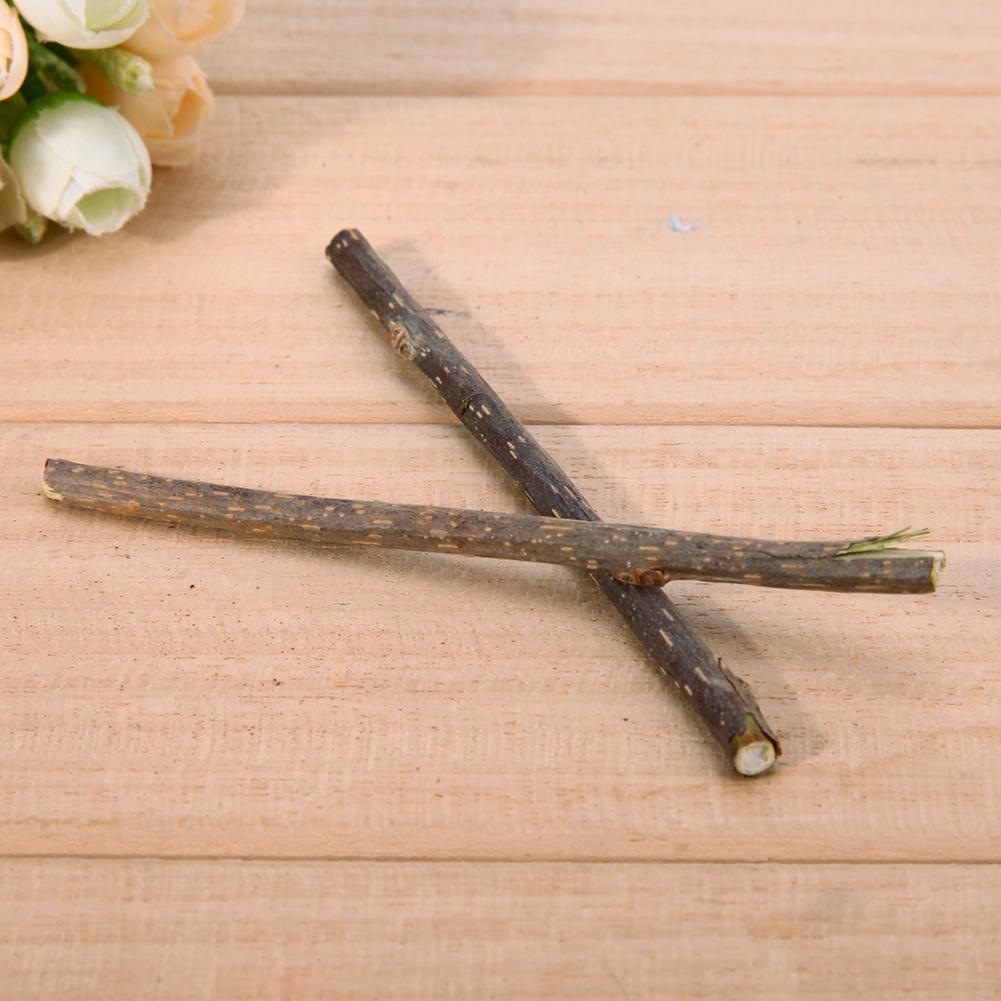 10 Stück reine natürliche Katzenminze Haustiere Katze Molar Zahnpasta Stick Katze Reinigung Zahn