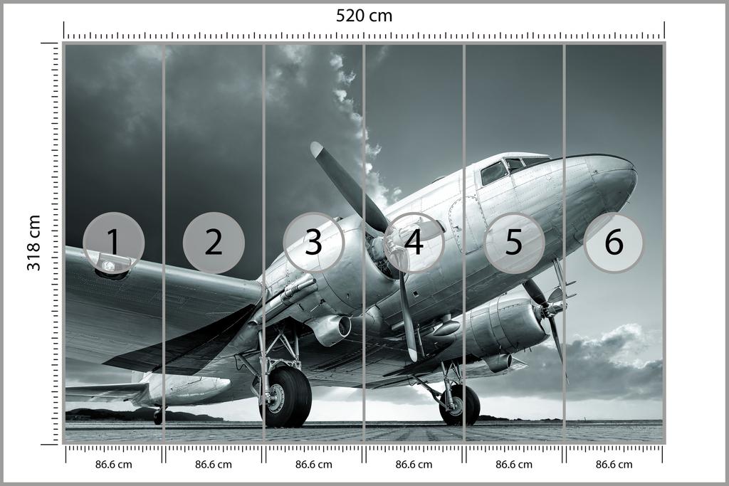 Photomural Propeller Airplane Smooth Vinyl 520x318