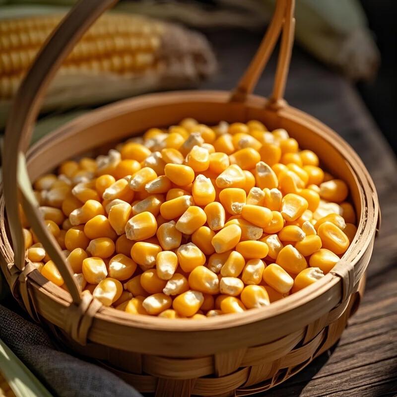 Shouxingu Corn Oil 2.5L