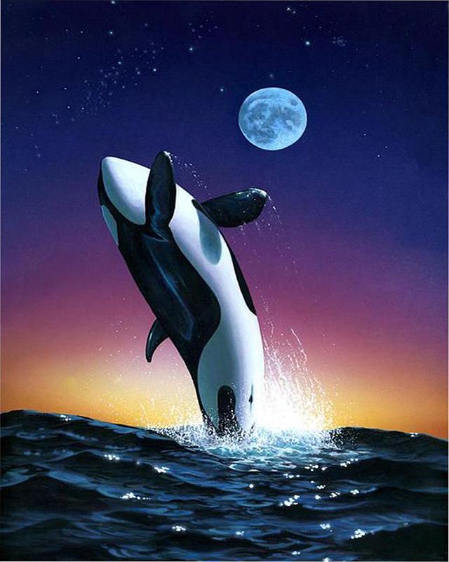 Diamond Painting Full Round Square Dolphins 5D DIY Diamond Embroidery Cross Stitch Sea Landscape Rhinestones Mosaic Wall Art
