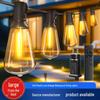 ST38 Waterproof Energy-Saving Low Voltage Outdoor LED String Lights with Remote Control for Camping and Christmas Decor.