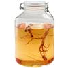 Lilang Glass Sealed Storage Jar