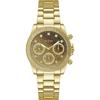 Sol Gold Stainless Steel Ladies Quartz Watch GW0483L2