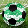 SV Werder Bremen Indoor Soccer Ball Colorful All Ages Size 5 Machine Stitched PVC Competition Ready Durable High-Bounce