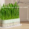 Sprout Planting Helper Hydroponic Sprouting Plate Soilless Cultivation Cat Grass Dish
